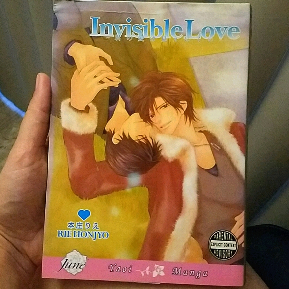 Invisible Love Manga